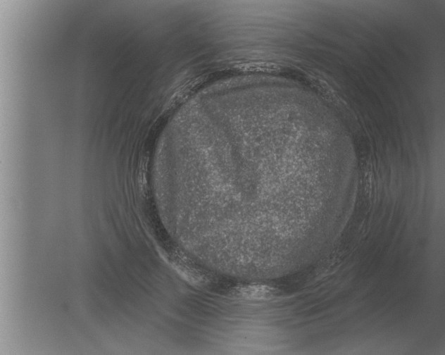 X0000080100695200612301918