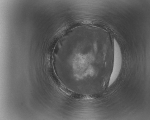 X0000080100696200612301918