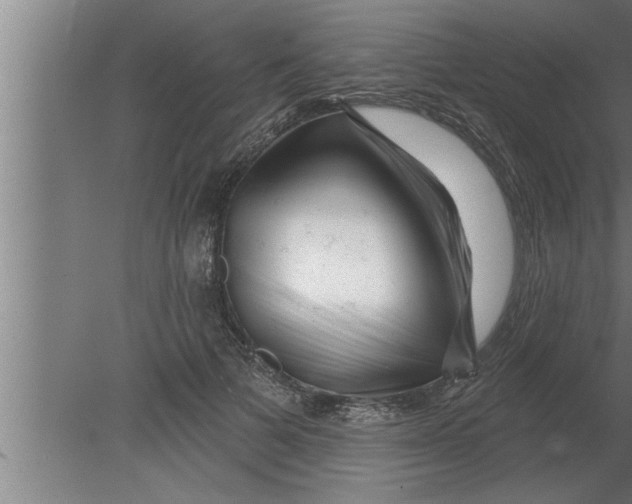 X0000080100697200612301918