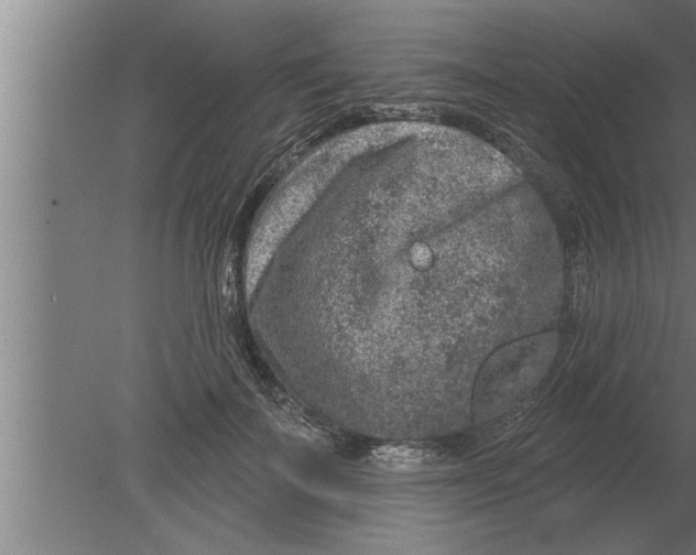 X0000080100699200612301918