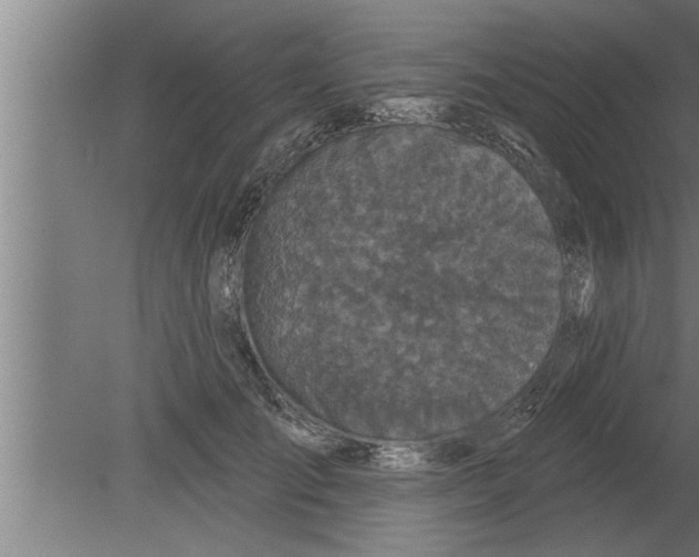 X0000080100701200612301918