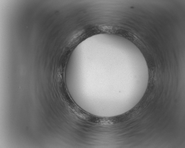 X0000080100702200612301918