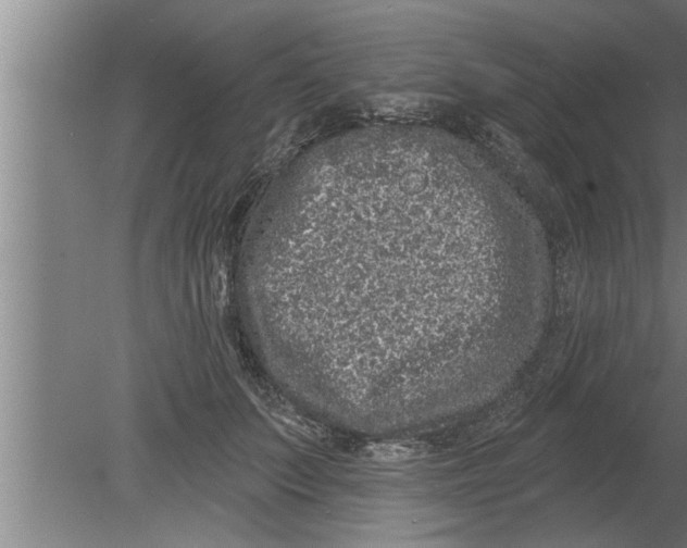 X0000080100703200612301918