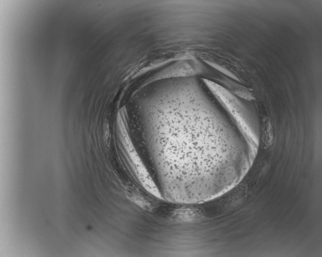 X0000080100704200612301918