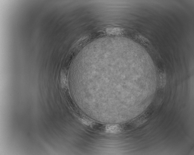 X0000080100705200612301918