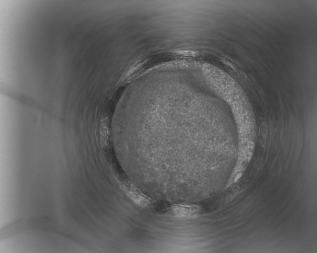 X0000080100707200612301918