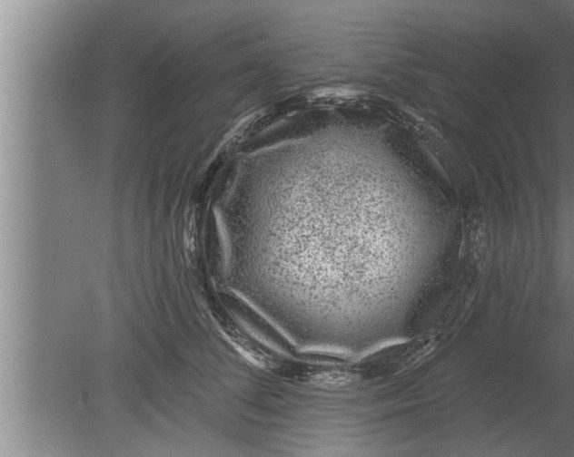 X0000080100708200612301918