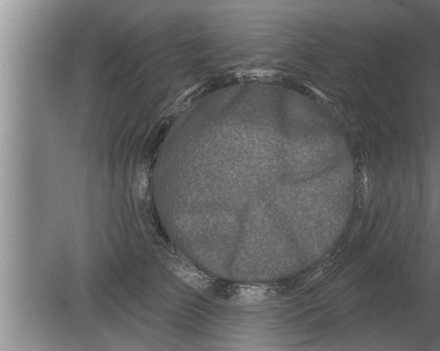 X0000080100709200612301918