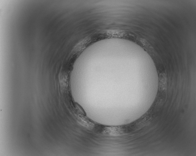 X0000080100713200612301918