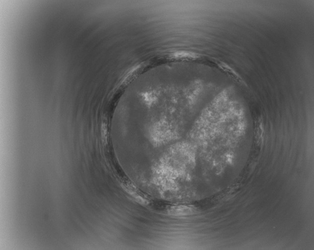 X0000080100716200612301918