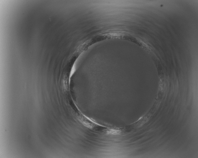 X0000080100718200612301918