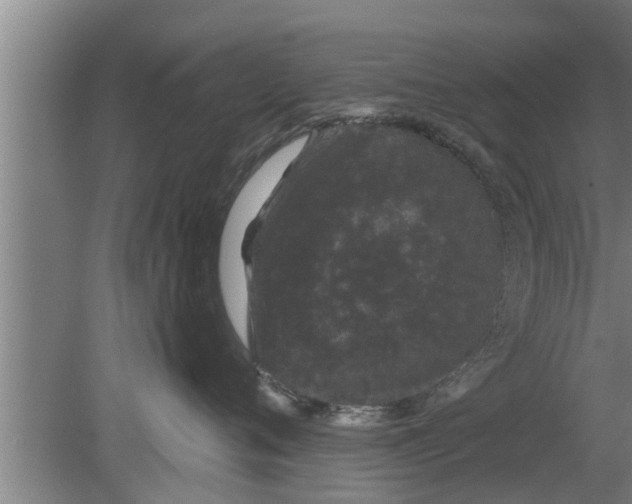 X0000080100720200612301918