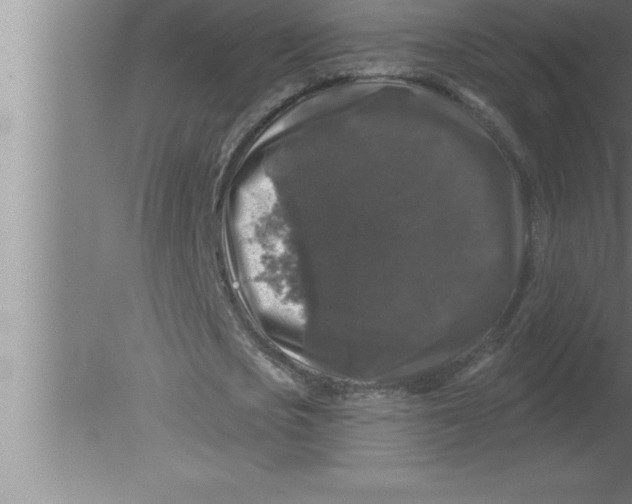 X0000080100721200612301917