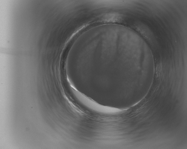 X0000080100722200612301917