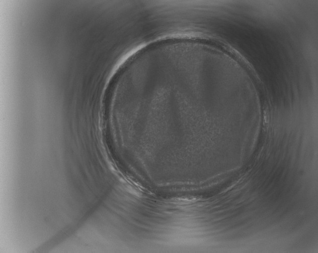 X0000080100724200612301917