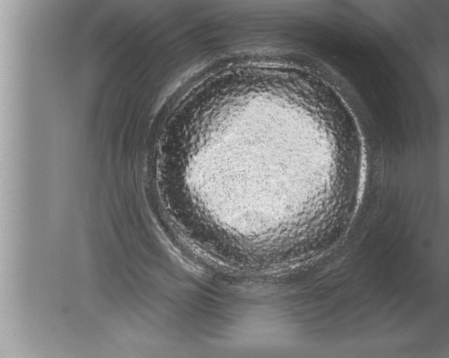 X0000080100725200612301917