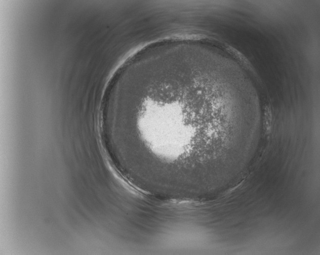 X0000080100726200612301917