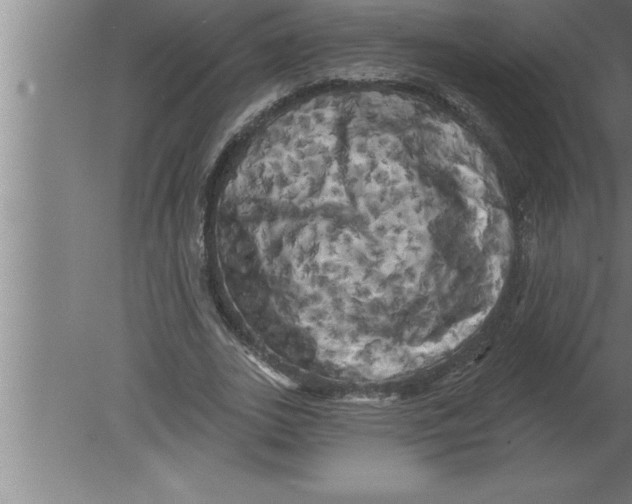 X0000080100727200612301917