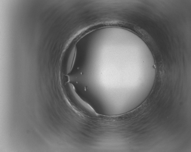 X0000080100728200612301917