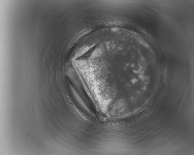 X0000080100729200612301917