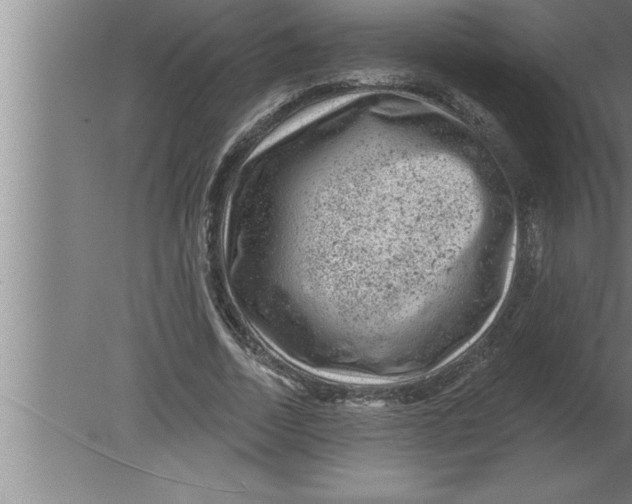 X0000080100730200612301917