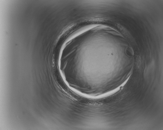 X0000080100731200612301917