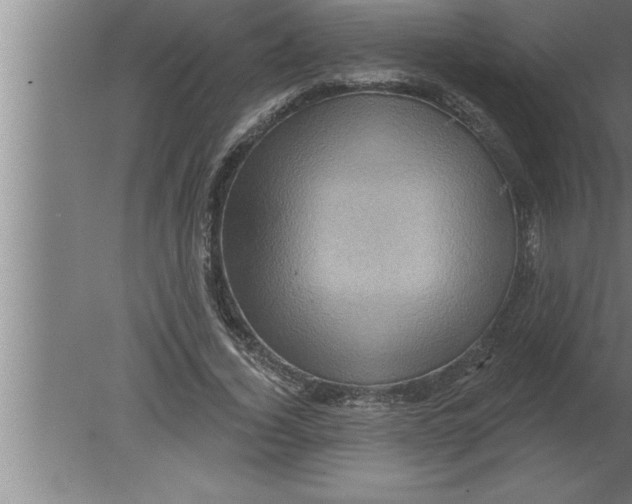 X0000080100732200612301917