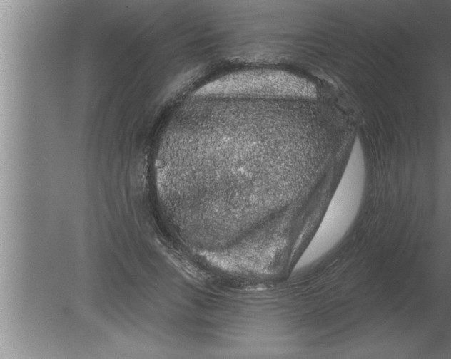 X0000080100735200612301917