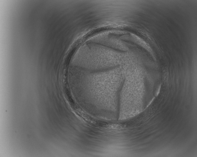 X0000080100736200612301917