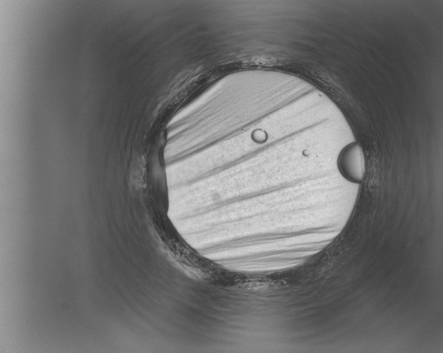 X0000080100738200612301917