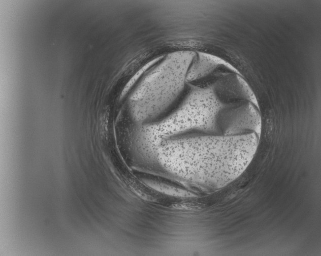 X0000080100739200612301917