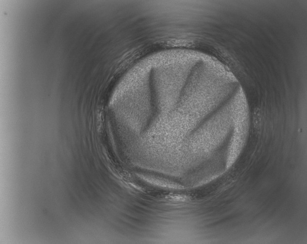 X0000080100741200612301917