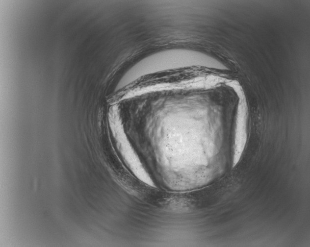 X0000080100742200612301917