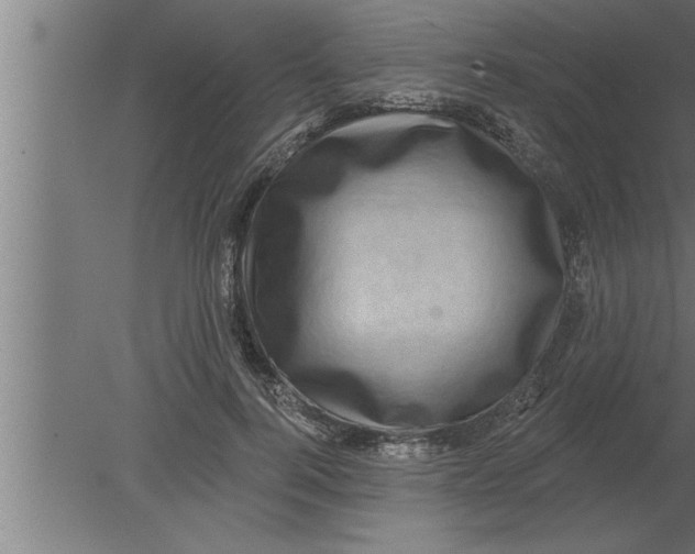 X0000080100744200612301917