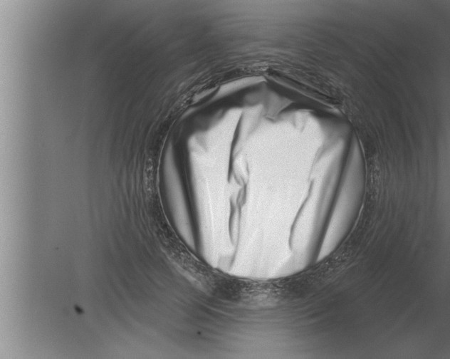 X0000080100745200612301917