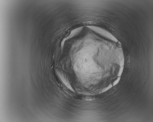 X0000080100746200612301917