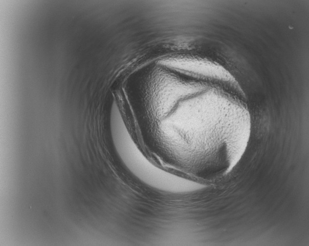 X0000080100747200612301917