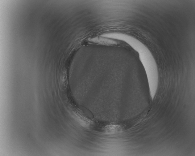 X0000080100748200612301917