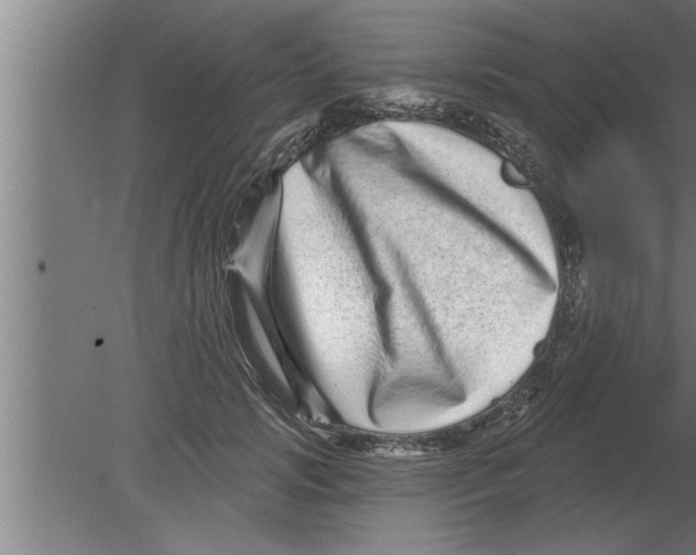 X0000080100749200612301917