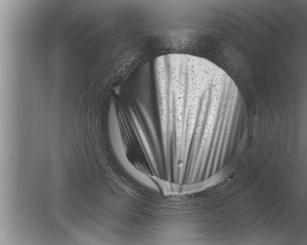 X0000080100750200612301917