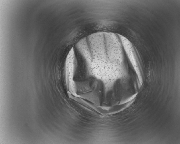 X0000080100751200612301917