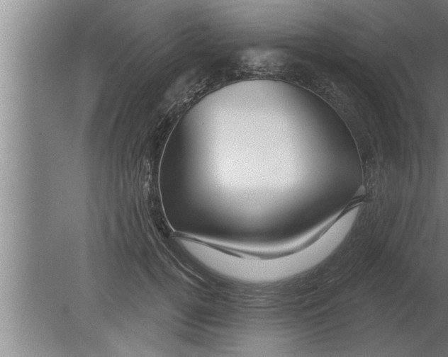 X0000080100752200612301917