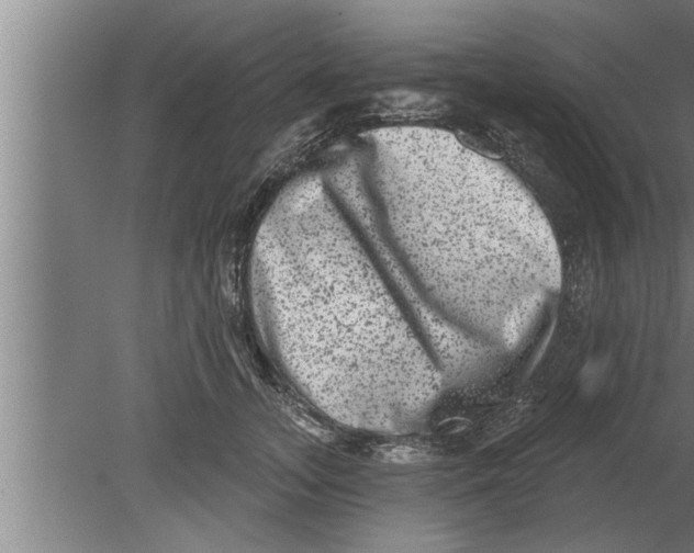 X0000080100755200612301917