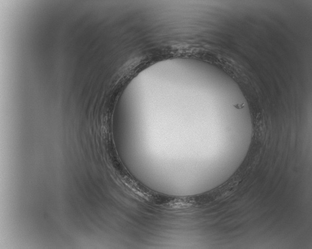 X0000080100756200612301917