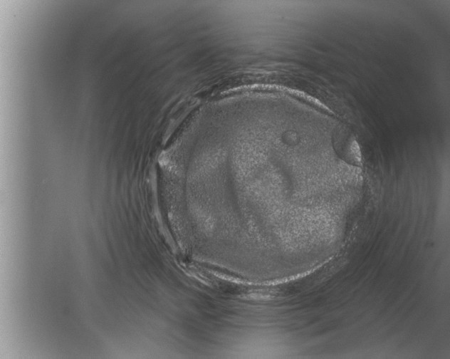 X0000080100758200612301917