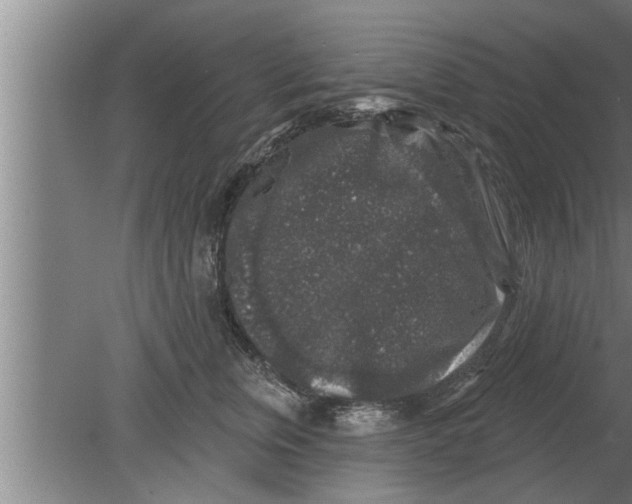 X0000080100759200612301918