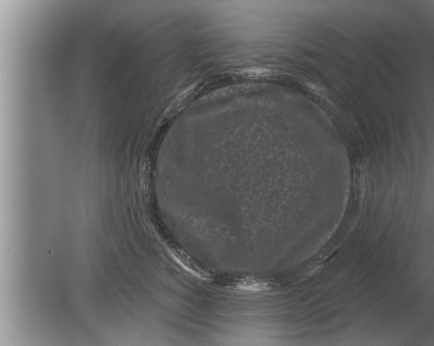 X0000080100760200612301918