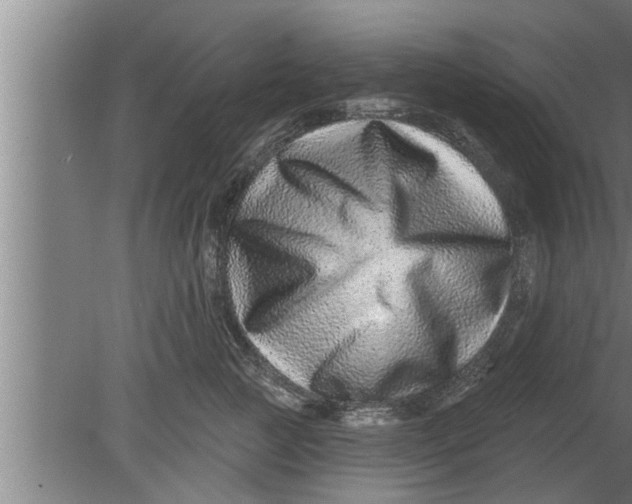 X0000080100761200612301918