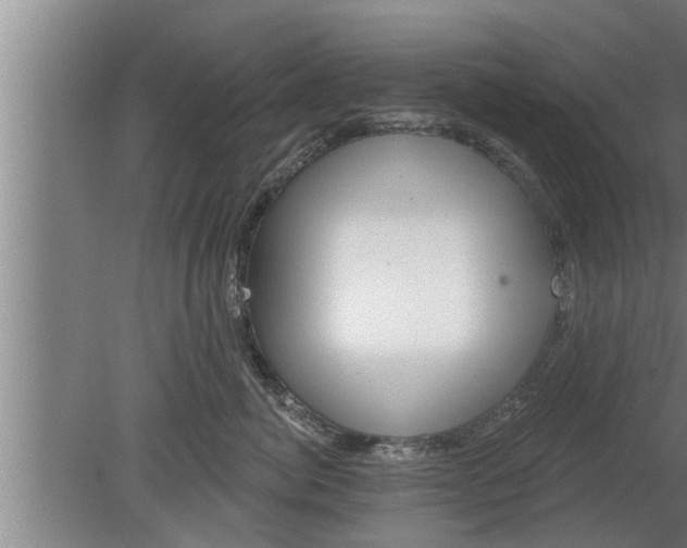 X0000080100764200612301918