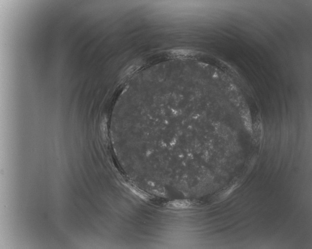 X0000080100765200612301918